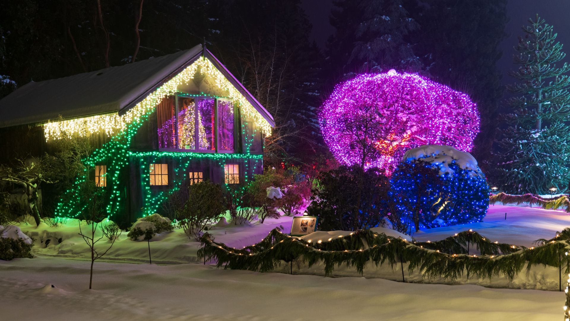A Pickens County home glowing with professionally installed Christmas lights at night
